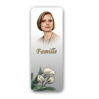 Étiquettes famille (XSFAM)